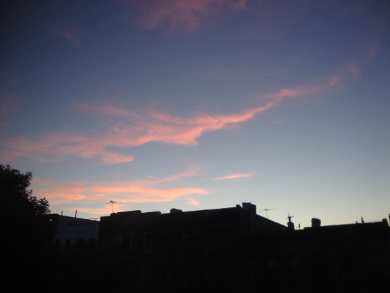 DSC01870