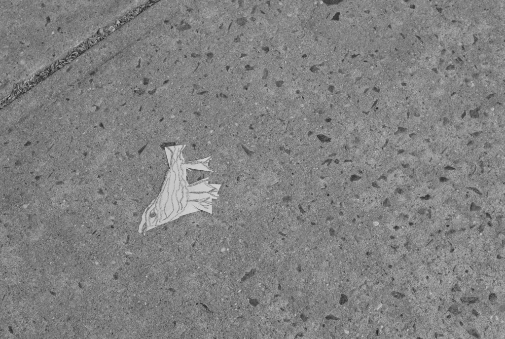 paper bird
