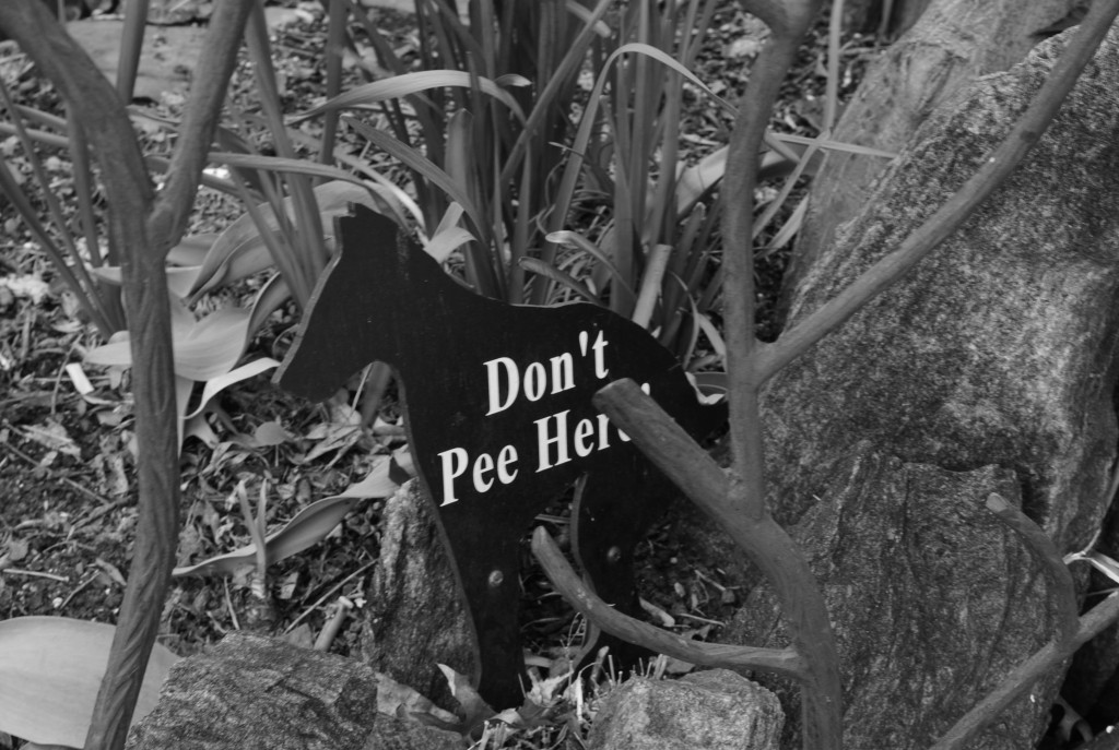 Dog sign