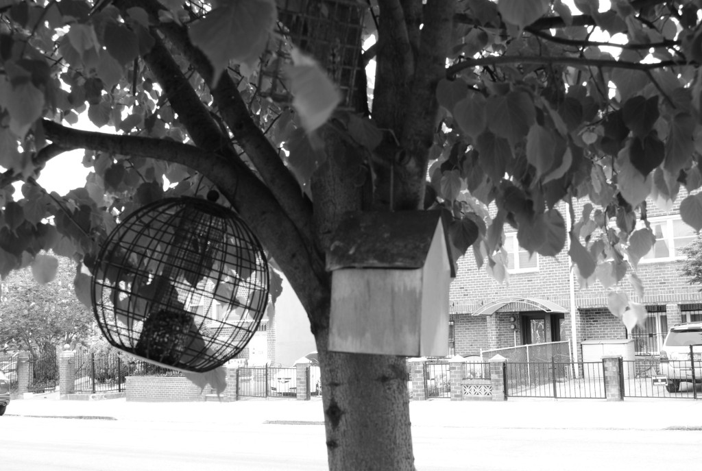 birdhouse