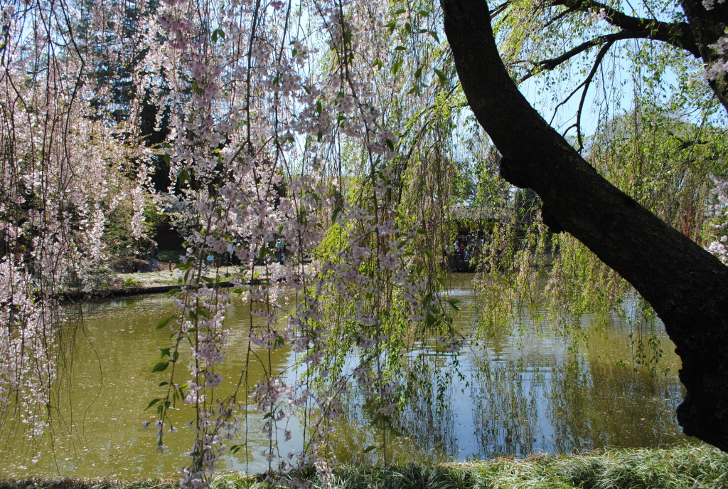 Japenese Hill-and-Pond Garden Brooklyn Botanic Garden