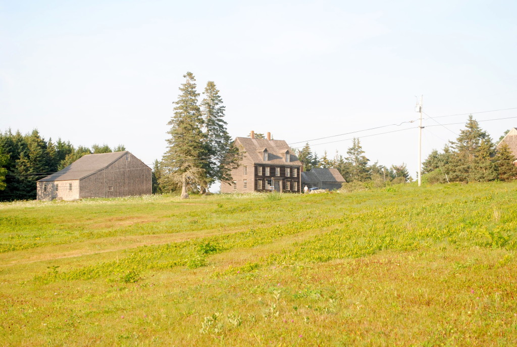 Olson House from the field